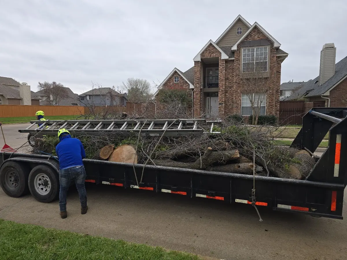 Expert Crown Reduction with proper safety equipment in Long Point